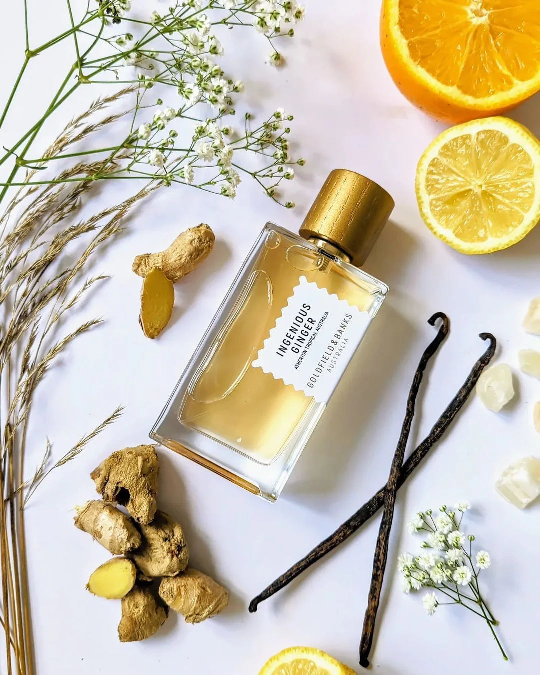 Goldfield & Banks Ingenious Ginger Sample