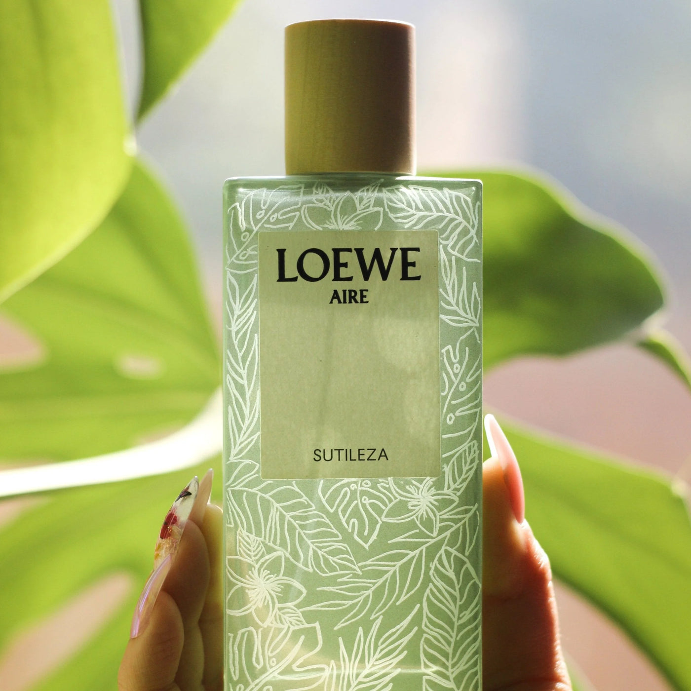 Loewe Aire Sutileza Sample