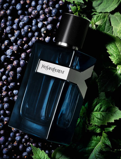 YSL Y EDP Sample